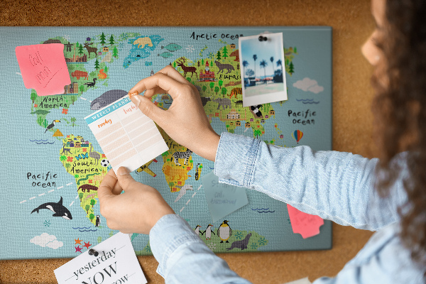 Tableau affichage liège Carte du monde colorée avec animaux et continents
