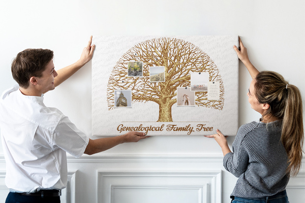 Tableau de liège Un arbre généalogique avec des branches ramifiées