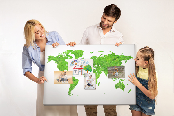 Tableau en liège Carte du monde verte avec pelouse.