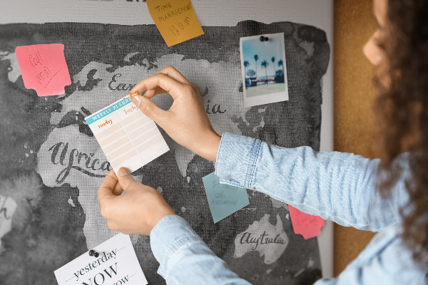 Tableau affichage liège Carte du monde en nuances de gris
