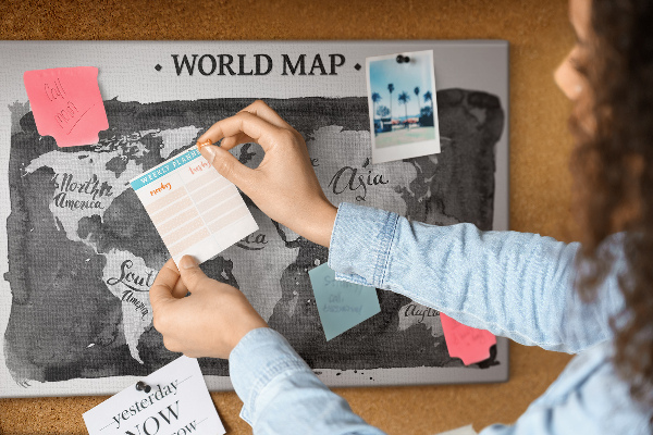 Tableau affichage liège Carte du monde en nuances de gris