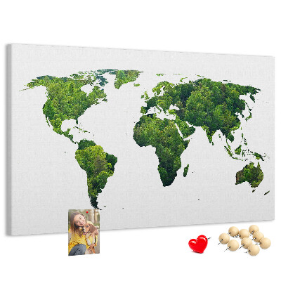 Tableau affichage liège Carte du monde verte avec végétation