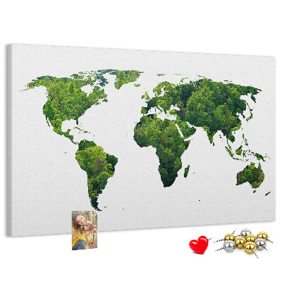 Tableau affichage liège Carte du monde verte avec végétation