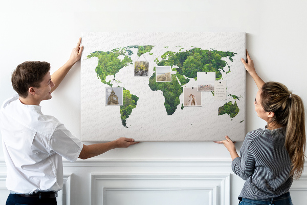 Tableau affichage liège Carte du monde verte avec végétation