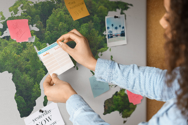 Tableau affichage liège Carte du monde verte avec végétation