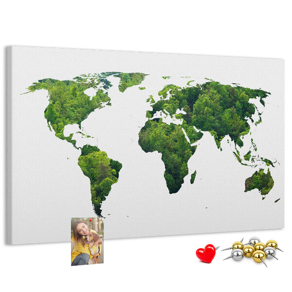 Tableau affichage liège Carte du monde verte avec végétation