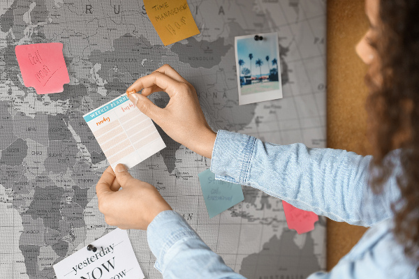 Tableau de liège Carte du monde détaillée en nuances de gris