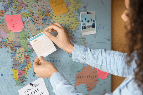 Tableau affichage liège Carte du monde avec les continents colorés.