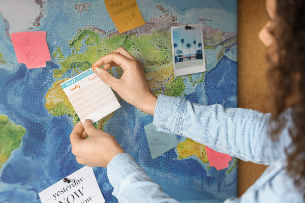 Tableau affichage liège Carte du monde aux couleurs pastel.