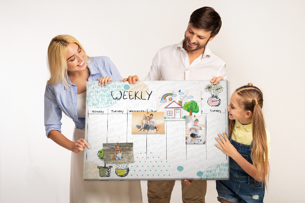Tableau affichage liège Agenda hebdomadaire coloré avec des plantes