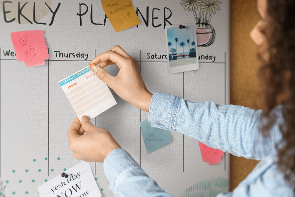 Tableau affichage liège Agenda hebdomadaire coloré avec des plantes