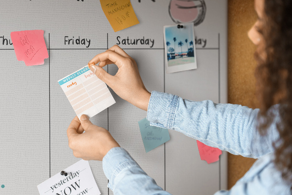 Tableau affichage liège Agenda hebdomadaire coloré avec des plantes