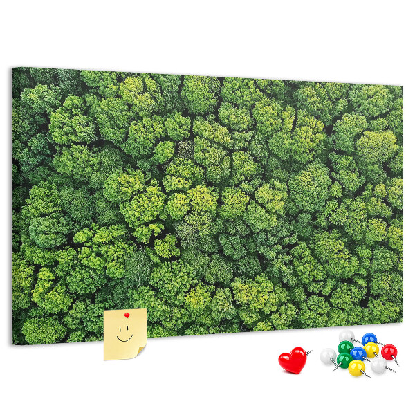 Tableau de liège Une forêt verdoyante à la végétation dense