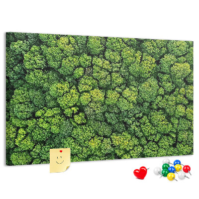 Tableau de liège Une forêt verdoyante à la végétation dense