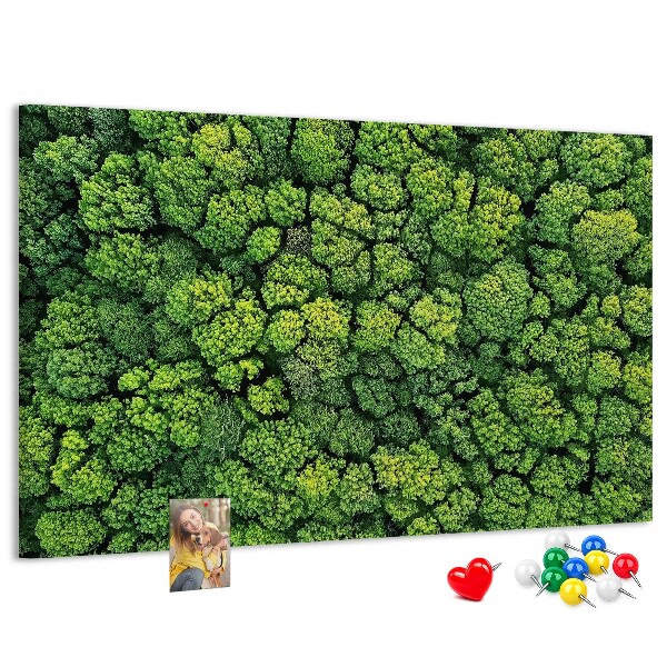 Tableau de liège Une forêt verdoyante à la végétation dense