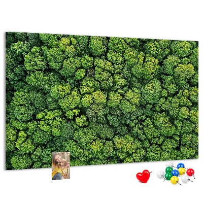 Tableau de liège Une forêt verdoyante à la végétation dense