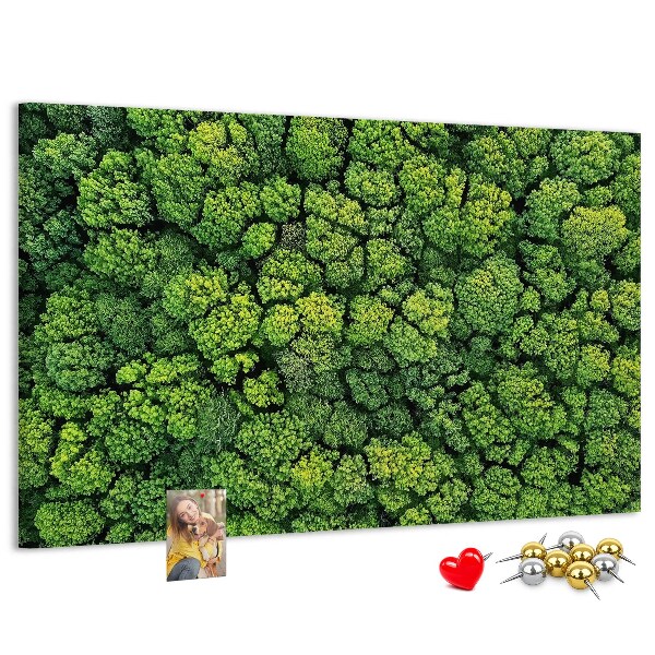 Tableau de liège Une forêt verdoyante à la végétation dense