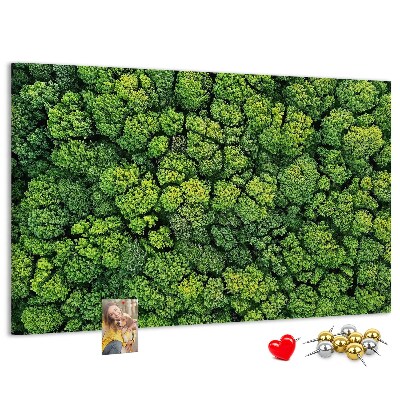 Tableau de liège Une forêt verdoyante à la végétation dense