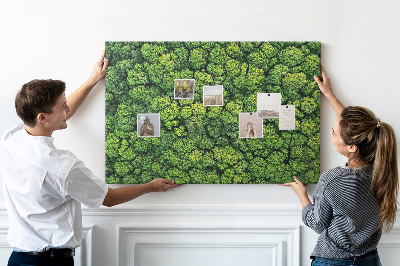 Tableau de liège Une forêt verdoyante à la végétation dense