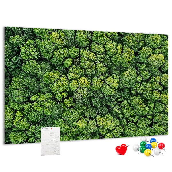 Tableau de liège Une forêt verdoyante à la végétation dense