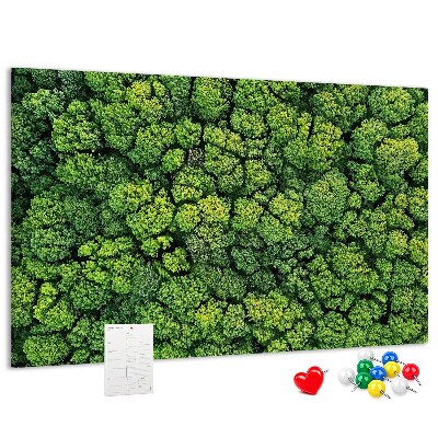 Tableau de liège Une forêt verdoyante à la végétation dense