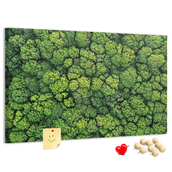 Tableau de liège Une forêt verdoyante à la végétation dense