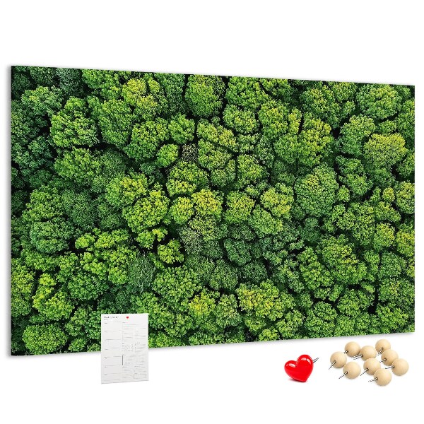 Tableau de liège Une forêt verdoyante à la végétation dense