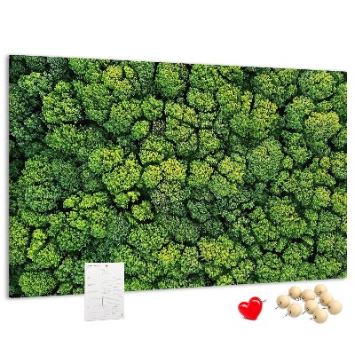 Tableau de liège Une forêt verdoyante à la végétation dense