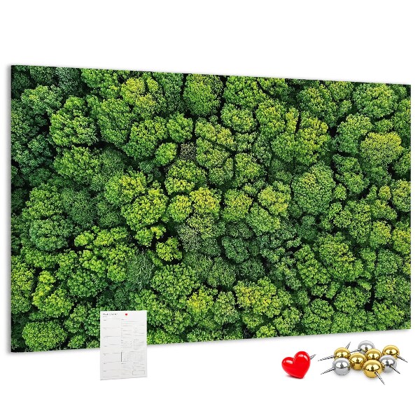 Tableau de liège Une forêt verdoyante à la végétation dense