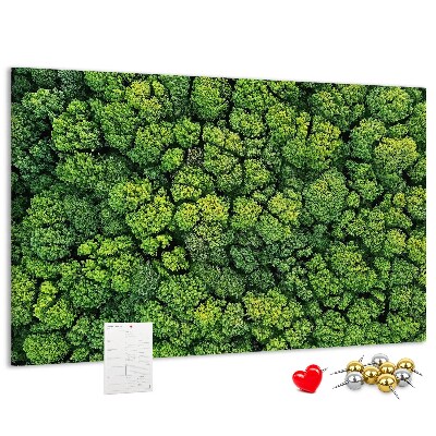 Tableau de liège Une forêt verdoyante à la végétation dense