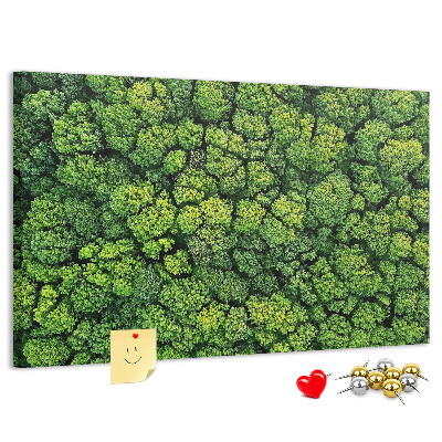 Tableau de liège Une forêt verdoyante à la végétation dense