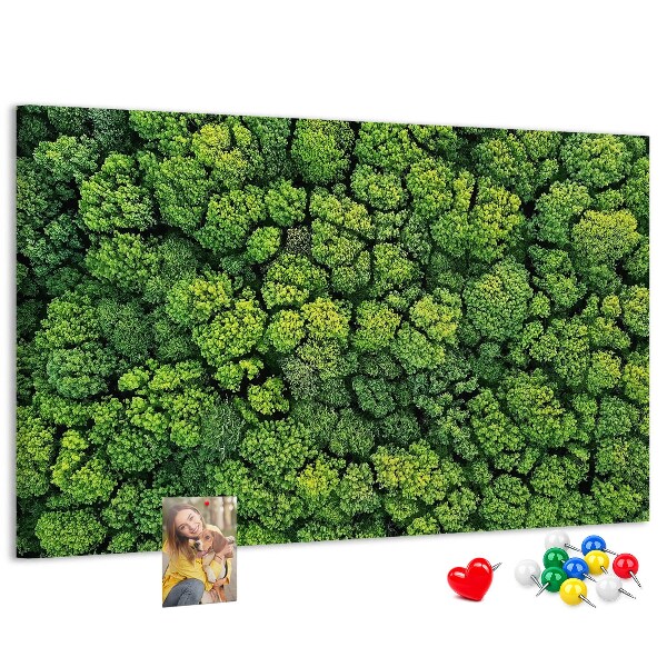 Tableau de liège Une forêt verdoyante à la végétation dense