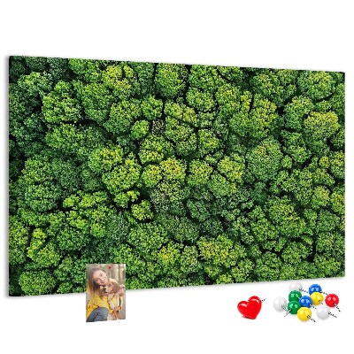 Tableau de liège Une forêt verdoyante à la végétation dense