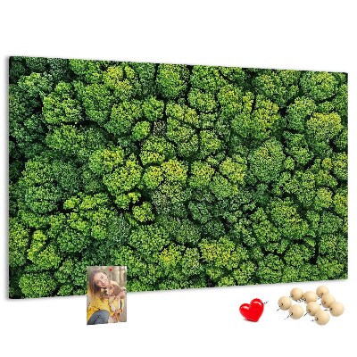Tableau de liège Une forêt verdoyante à la végétation dense