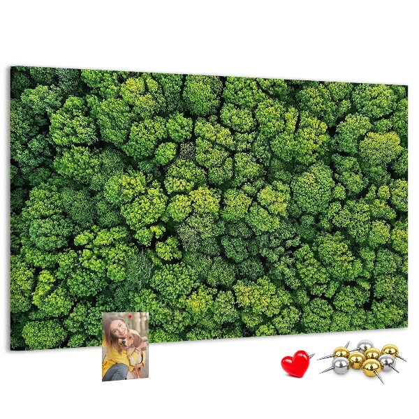 Tableau de liège Une forêt verdoyante à la végétation dense