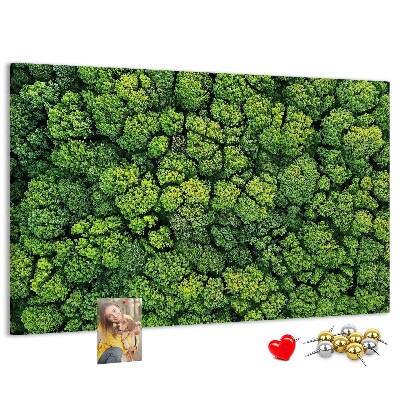 Tableau de liège Une forêt verdoyante à la végétation dense