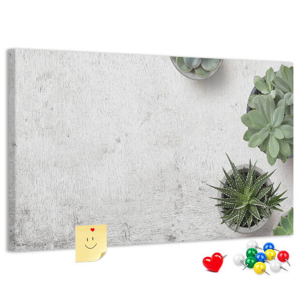 Tableau affichage liège Plantes en pot sur fond gris