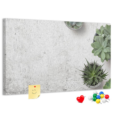 Tableau affichage liège Plantes en pot sur fond gris