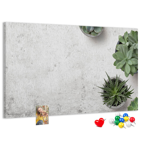 Tableau affichage liège Plantes en pot sur fond gris