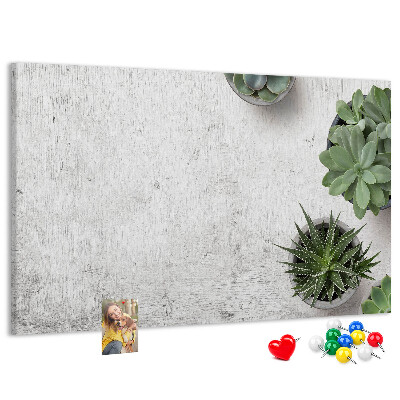Tableau affichage liège Plantes en pot sur fond gris