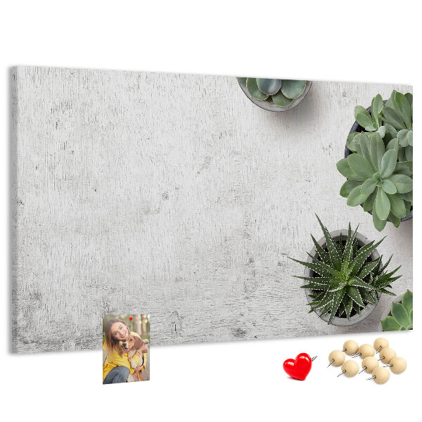 Tableau affichage liège Plantes en pot sur fond gris