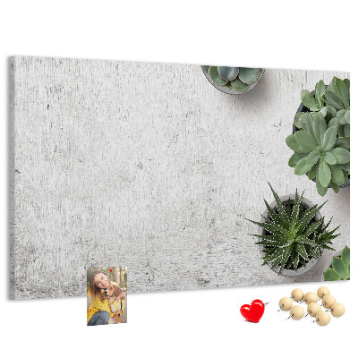 Tableau affichage liège Plantes en pot sur fond gris