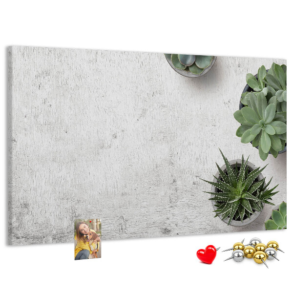 Tableau affichage liège Plantes en pot sur fond gris