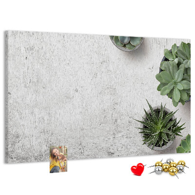 Tableau affichage liège Plantes en pot sur fond gris