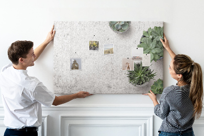 Tableau affichage liège Plantes en pot sur fond gris