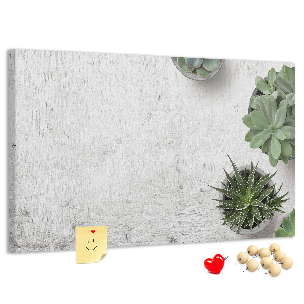 Tableau affichage liège Plantes en pot sur fond gris