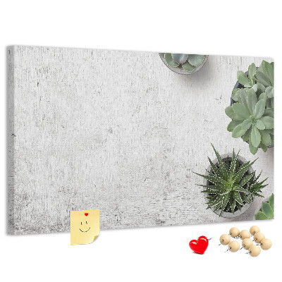 Tableau affichage liège Plantes en pot sur fond gris