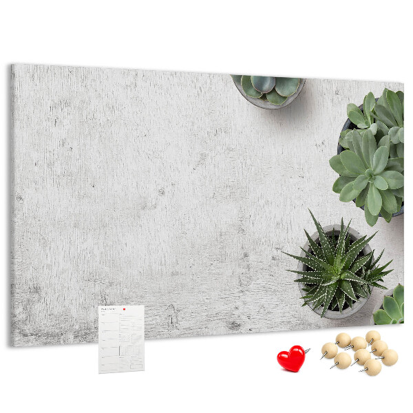Tableau affichage liège Plantes en pot sur fond gris