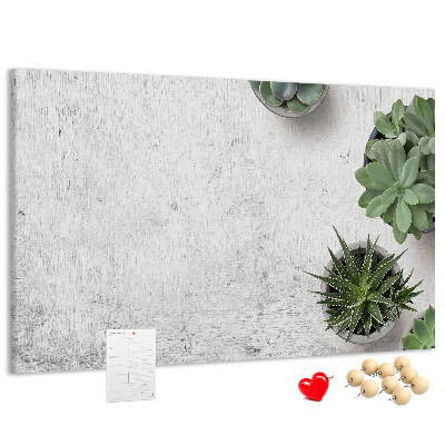 Tableau affichage liège Plantes en pot sur fond gris