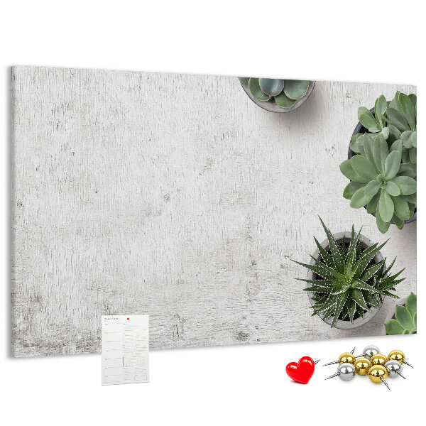 Tableau affichage liège Plantes en pot sur fond gris